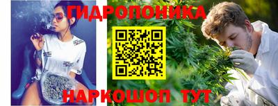 стаф Шебекино
