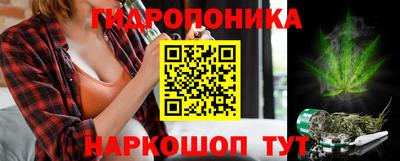 стаф Шебекино