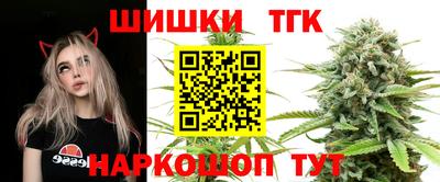 гидра Шахты