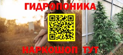 гидра Шахты