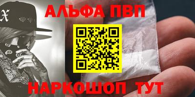 стаф Шебекино