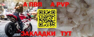 стаф Шебекино