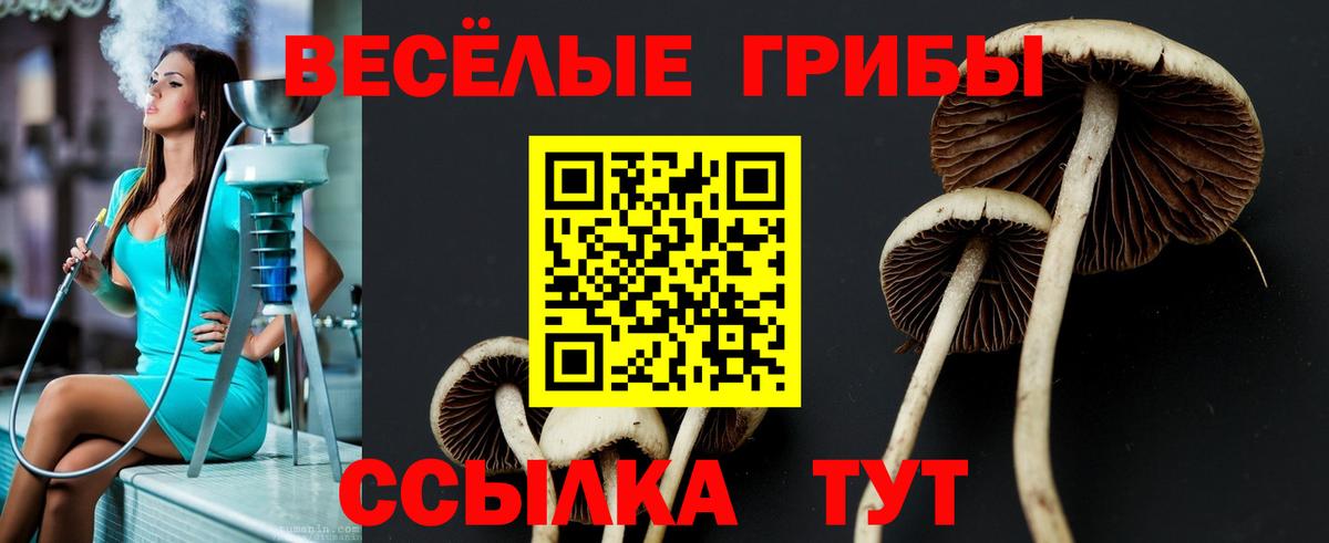 Кропоткин  Галлюциногенные грибы Magic Shrooms  Галлюциногенные грибы мицелий  Вход с VPN 